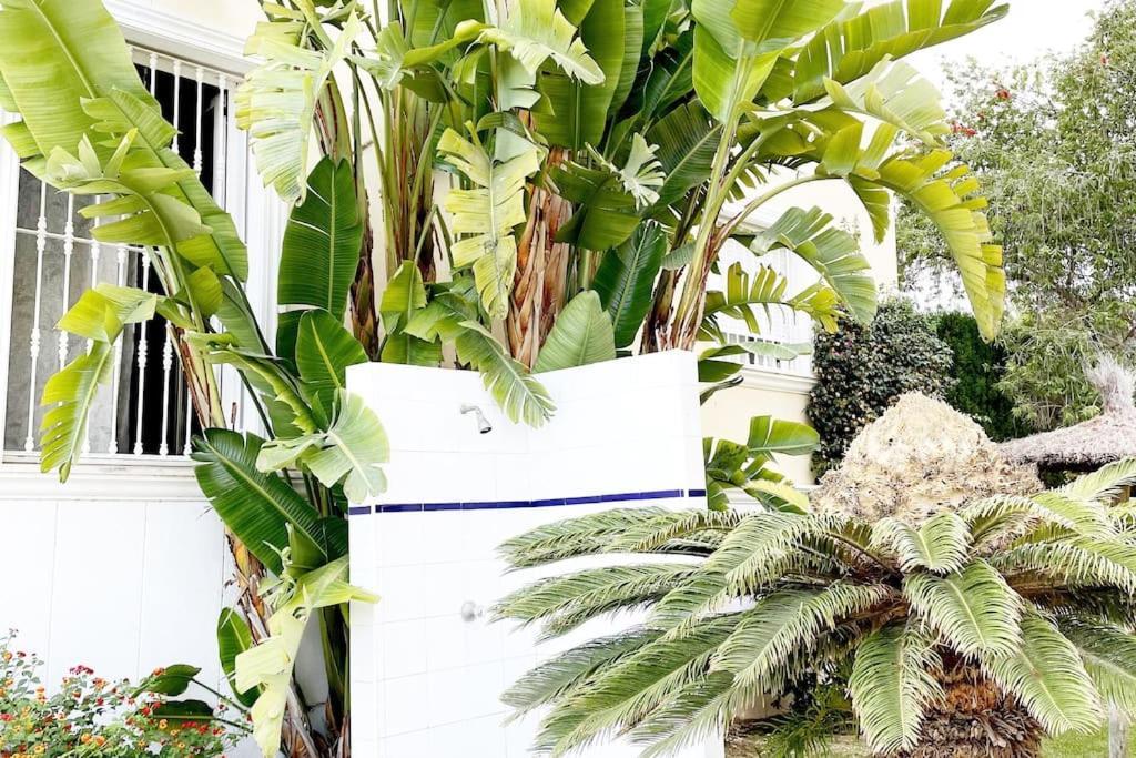 Beach Penthouse Apartment ฮาเวอา ภายนอก รูปภาพ